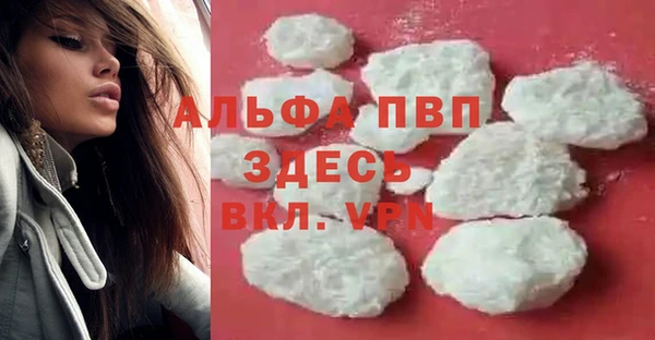 ГАЛЛЮЦИНОГЕННЫЕ ГРИБЫ Новозыбков