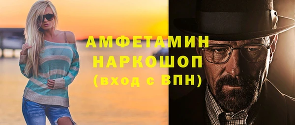 ГАЛЛЮЦИНОГЕННЫЕ ГРИБЫ Новозыбков