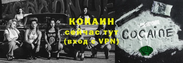 ГАЛЛЮЦИНОГЕННЫЕ ГРИБЫ Новозыбков